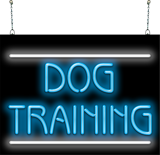 Dog Training Neon Sign