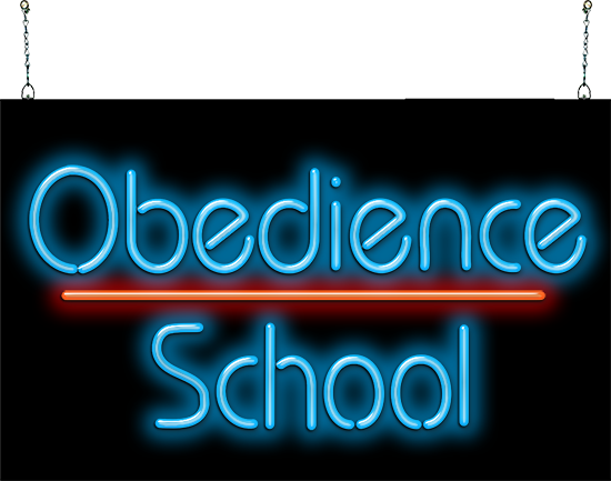 Obedience School Neon Sign