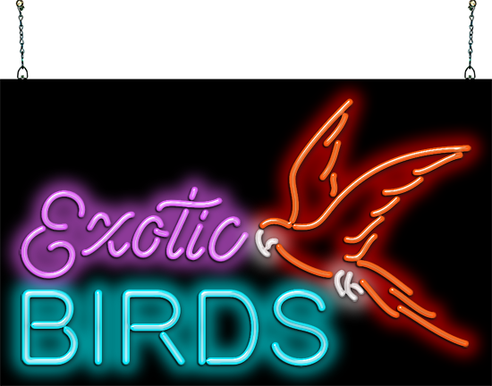 Exotic Birds with Bird Neon Sign